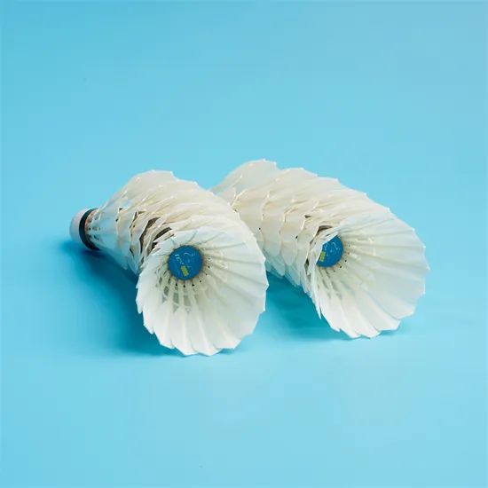 Professional Duck Feather Badminton Shuttlecock - Image 2