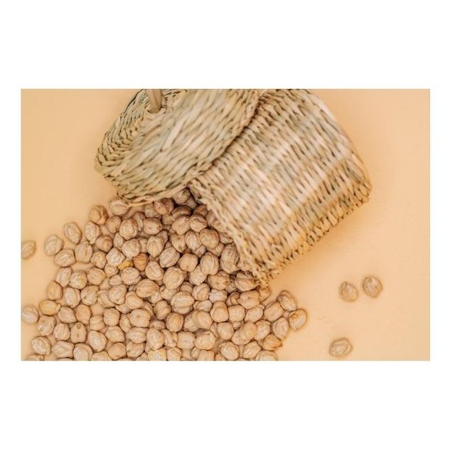 Chickpeas Origin Chinese 9MM Non Gmo Chickpea Wholesale Chickpea Beans - Image 4