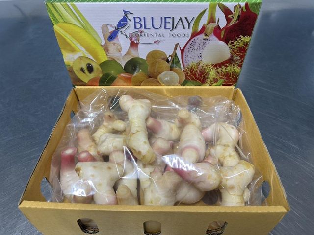 Galangal Type Galangal Form Fresh Root Packaging Card Tray Flavor Profile Earthy, Piney Certifications Gap, Haccp, Sedex, Gmp - Image 1