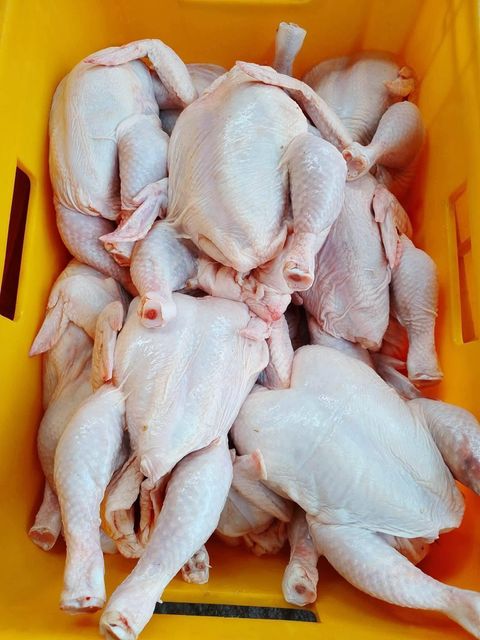 Best Selling Poultry Excellence Sadia Whole Chicken Griller 1200g Halal Certified Fresh Frozen Chicken - Image 3