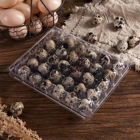 Canned Quail Eggs/ Best Price Closure Type Bellows Closures, Clamp Closures, Hinged Lid, Tear-Off Lids Packaging Propert - Image 2