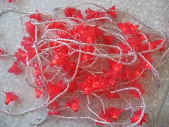 2018 Hot Sale LED String Light for Christmas Decoration - Image 6