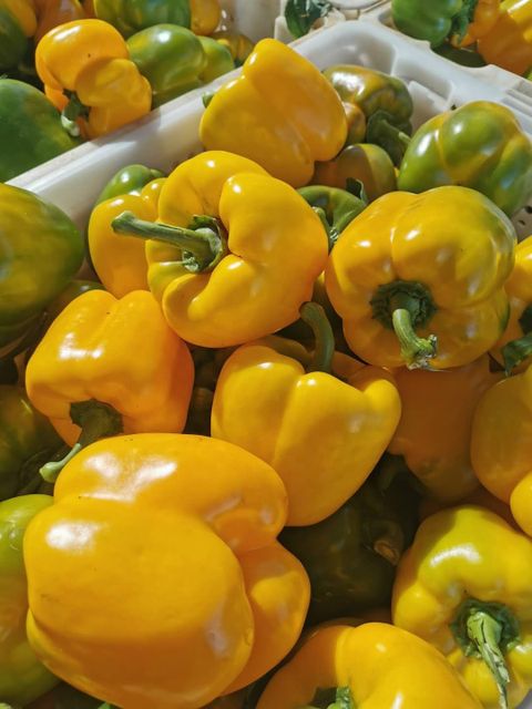 China Origin Red Yellow Green Fresh Colorful Bell Pepper Type common Style Fresh Ingredients No Model Number 001 Shelf Life 20 - Image 3