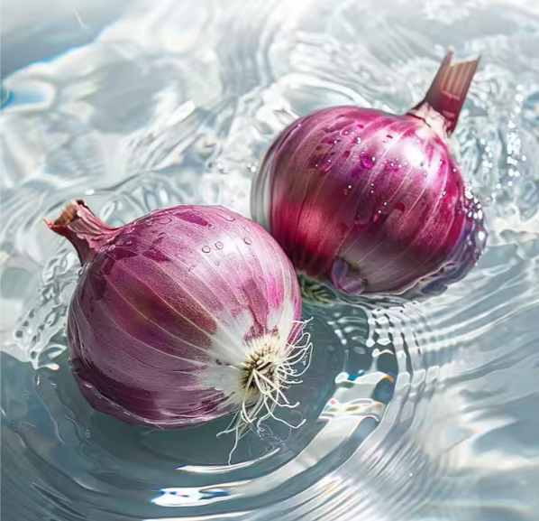 Fresh Onion Grade A Size 4–8 Cm Diameter Packaging Mesh Bags (10kg / 20kg / 50kg), bag Varieties Red Onion, White Onion, Yellow Onion - Image 1