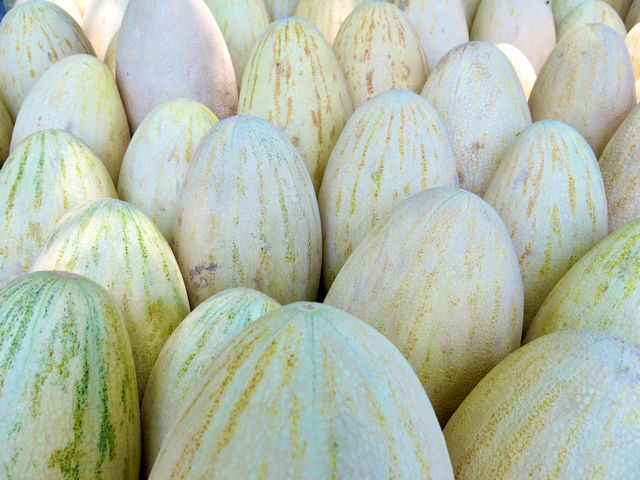 Fresh Melon Origin Brazil Freshness Level Fresh - Image 3