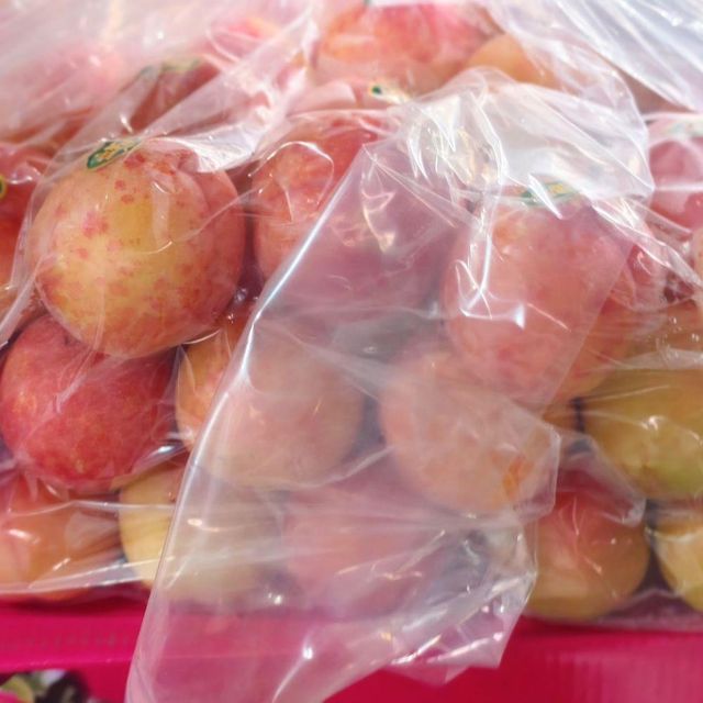 Fresh Plums Premium Harvest Selection For International Fruit Buyers Delivering Natural Sweetness And Uniform Quality - Image 3