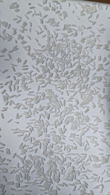 C9 SILKY LONG GRAIN WHITE RICE DOUBLE POLISH Color White Texture Silky Origin Pakistan Packaging 25 Kg In Pp Bags Minimum Order Quantity One Container 20 - Image 3