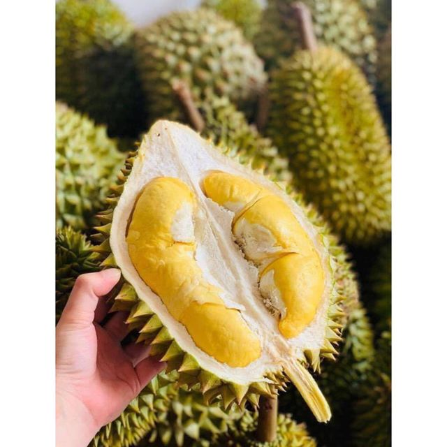 Good Price Frozen Whole Durian from Vietnam So Fresh Premium Quality Musang King/ Ri6/ Monthong Durian Fruit – product photo 3, product detail gallery