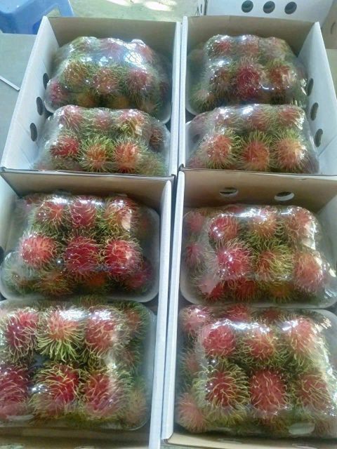Fresh Rambutan Flavor Naturally Sweet Color Vibrant Red Skin Harvesting Method Hand-picked Standards Vietgap Or Globalg.a.p - Image 3