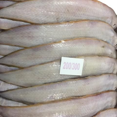 INDIAN FISH FROZEN SOLE FISH INDIAN SEAFOOD EXPORT - Image 1