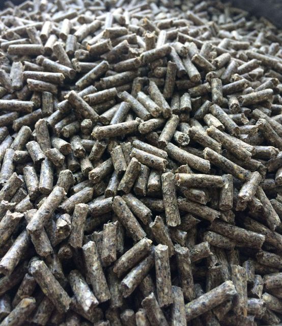 Energy Saving Wood Pellets For Heating Boilers Stoves And Industrial Biomass Systems - Image 1