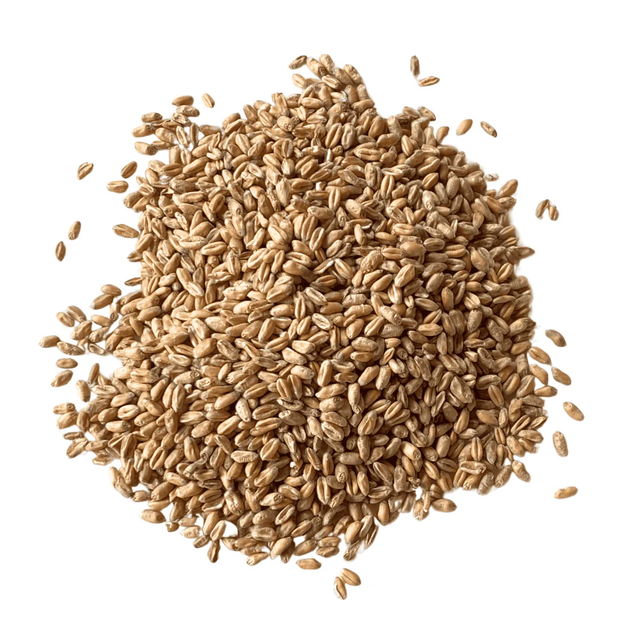 Factory Price Milling Wheat Ready For Wholesale Distribution And Export - Image 2
