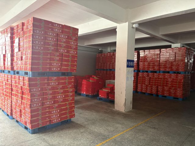 CANNED TOMATO PASTE/Tomato Paste and Puree Color RED Weight (kg) 70G Shelf Life 2 YEARS Certification HALAL Place of Origin - Image 3