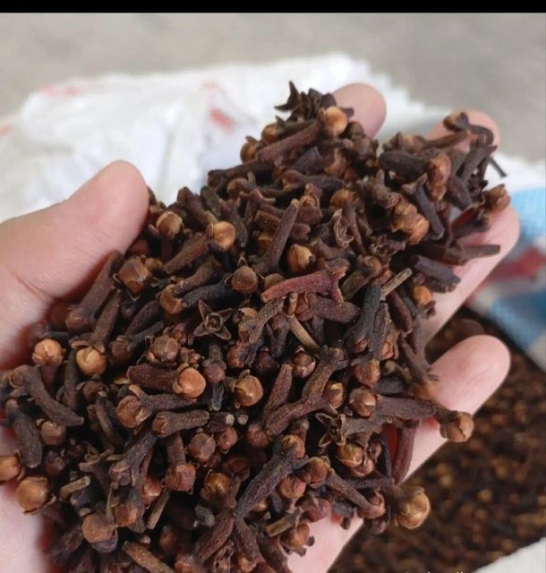 Lalpari Clove - Image 5
