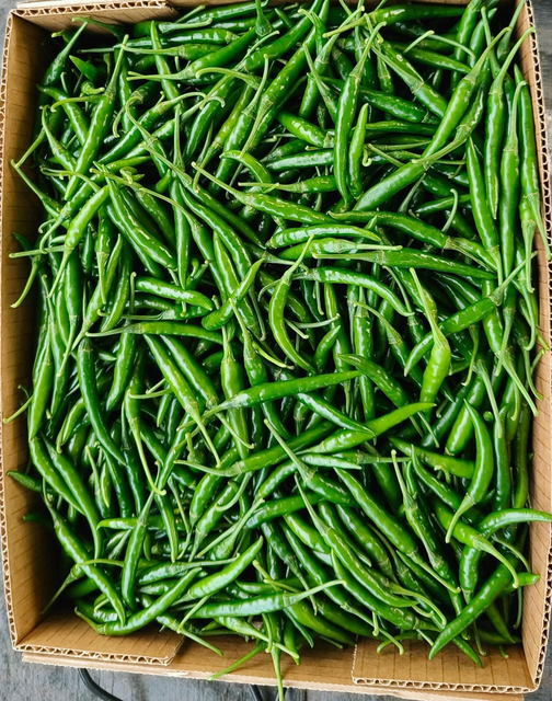 Green Chilli - Image 1