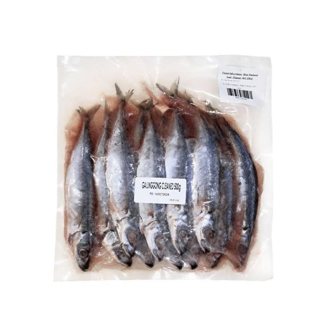 Selected Seafood Prepared With Frozen Whole Horse Mackerel Through Modern Freezing Methods For Wholesale Buyers - Image 1