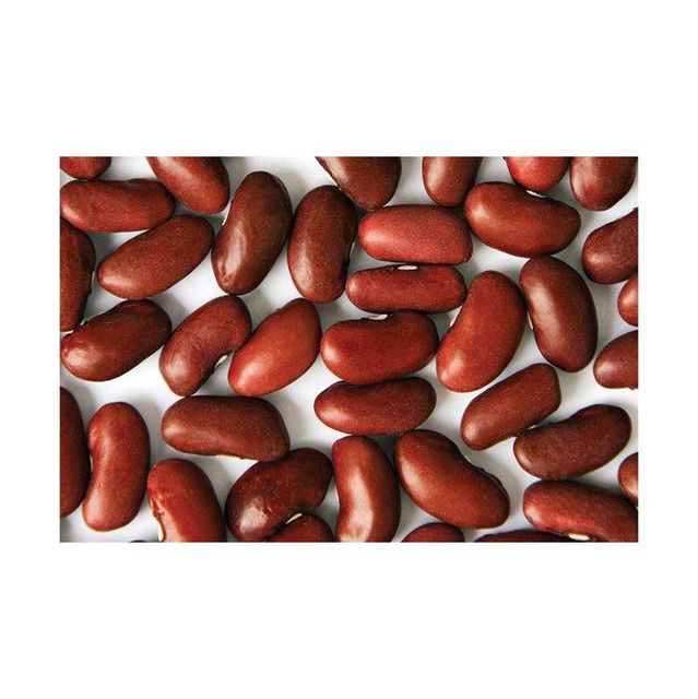 Red Kidney Bean bulk supply wholesale low price export ready - Image 1