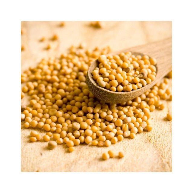 Wholesale mustard seeds packed in large quantity for spice and oil producers - Image 5