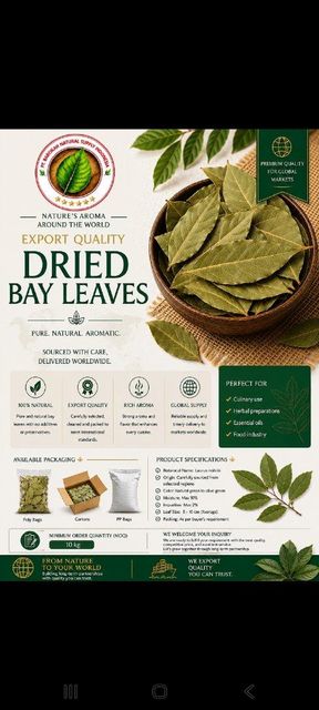 Dried bay leave - Image 1