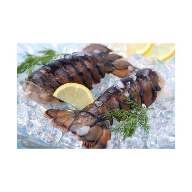 Premium quality frozen lobster tails arranged for bulk buyers with fast delivery - Image 4