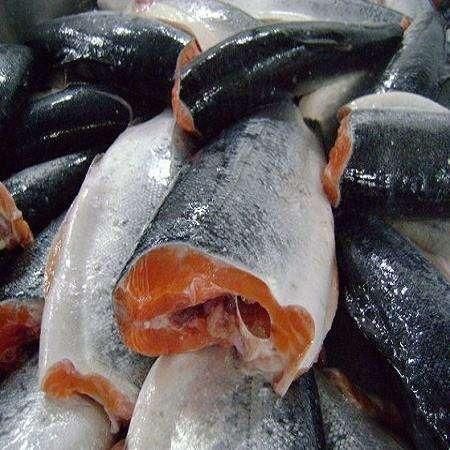 Hot Sale Saithe Fish Frozen Fillet IQF Premium Quality Ocean Fresh Seafood Bulk Supply for Export Buyers - Image 5