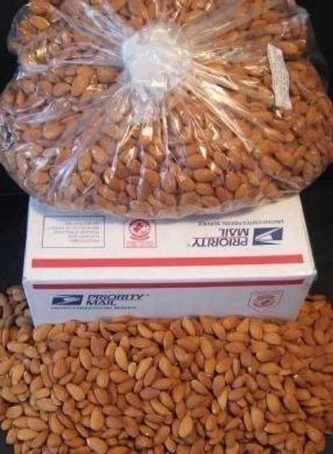 Cheap Price Wholesale Almond Nuts For Sale In bulk – product photo 4, product detail gallery