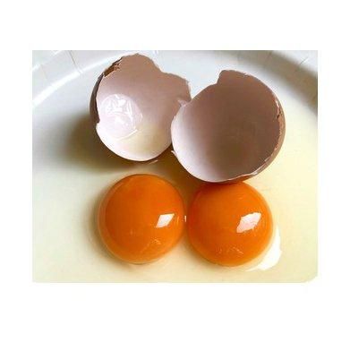 Nutritious Chicken Egg Yolk Snacks for Active Dogs ODM Yes OEM Yes Spec 0-99g Flavour ODM Color Nature Model Nutritious Chicken Egg Yolk Snacks for Active Dogs ODM Yes OEM Yes Spec 0-99g Flavour ODM Color Nature Model Nutritious Chicken Egg Yolk Snacks for Active Dogs ODM Yes OEM Yes Spec 0-99g Flavour ODM Color Nature Model - Image 2