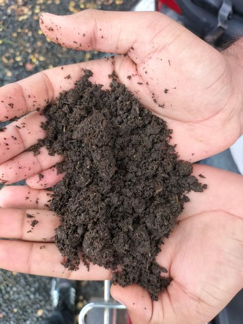 Organic fertilizer - Image 2