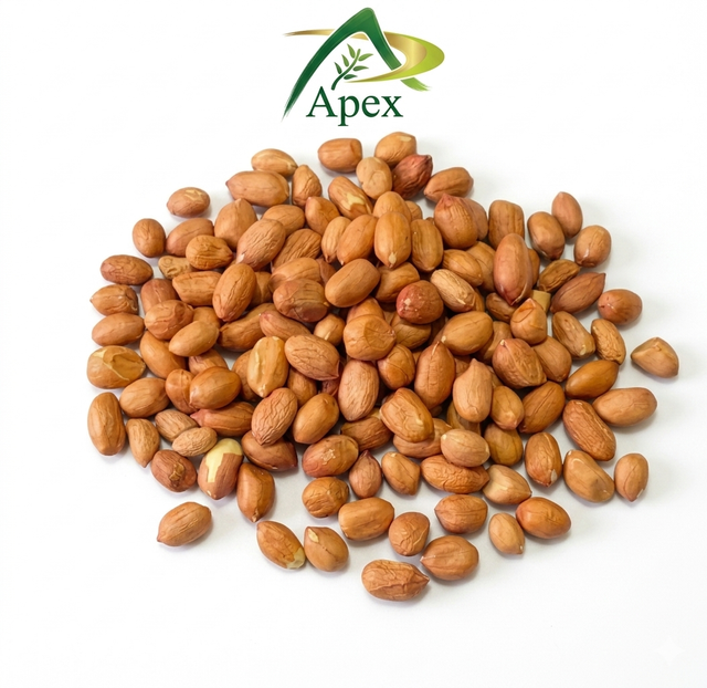 Java Peanut 6070, Java Peanut 60 70, Java Peanut 60/70, Peanut, Peanuts, Arachis hypogaea, Java Peanut, Java Peanut Kernels, Blanched Peanut, Indian Java Peanut, Indian Blanched Peanut, Peanuts Java Kernels, Peanuts Kernels, Peanut With Shell, Peanuts, Indian Peanuts,Java Peanuts, Java Peanut Supplier From India. - Image 1