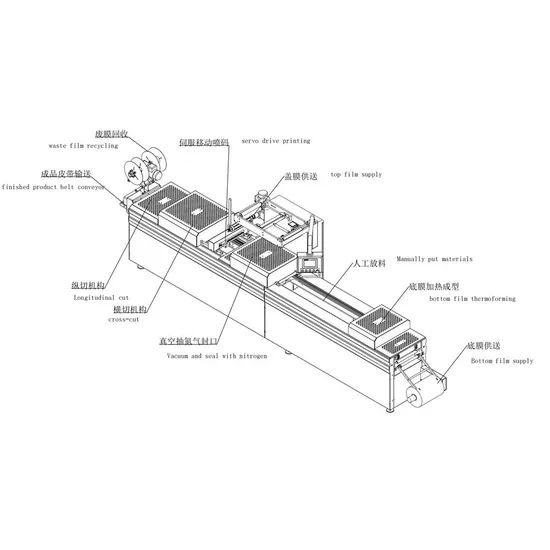 Factory Price Fish Seafood Sausage Cheese Stick Meat Vacuum Thermoforming Packing Machine - Image 2