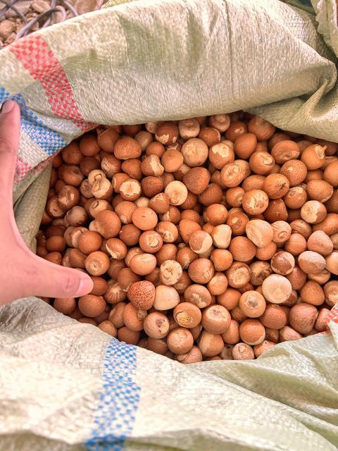 Areca Nut - Image 3