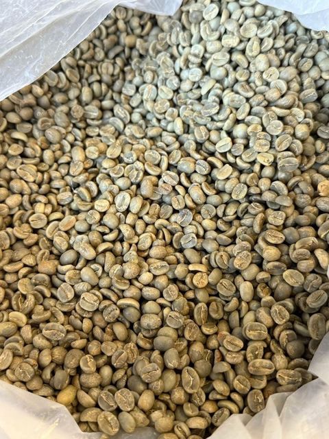 ARABICA COFFEE BEANS - Image 3