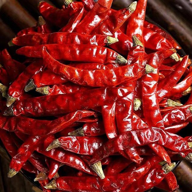Global Supplier of Premium Dry Red Chilli | Wholesale Sun-Dried Red Chili Peppers for Cooking, Grinding, Spice Blends, Sauces, and Food Processing Industries with Rich Flavor, Long Shelf Life, Secure Packaging, Competitive Rates, and International Delivery Services - Image 4