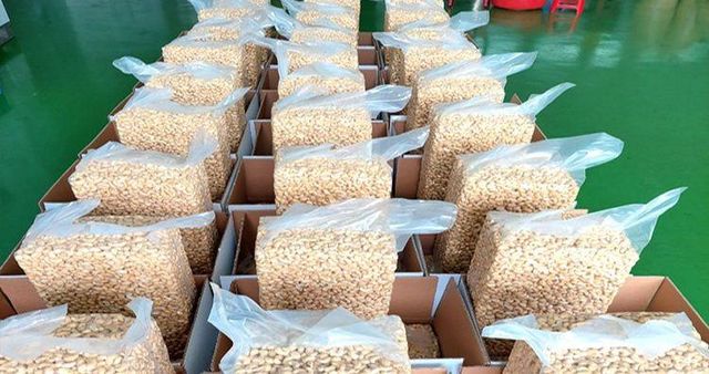 Vietnamse Cashew Nuts W320 W240 and other types Exporter Fresh Cashew Nuts From Vietnam packaged cashew nuts - Image 6