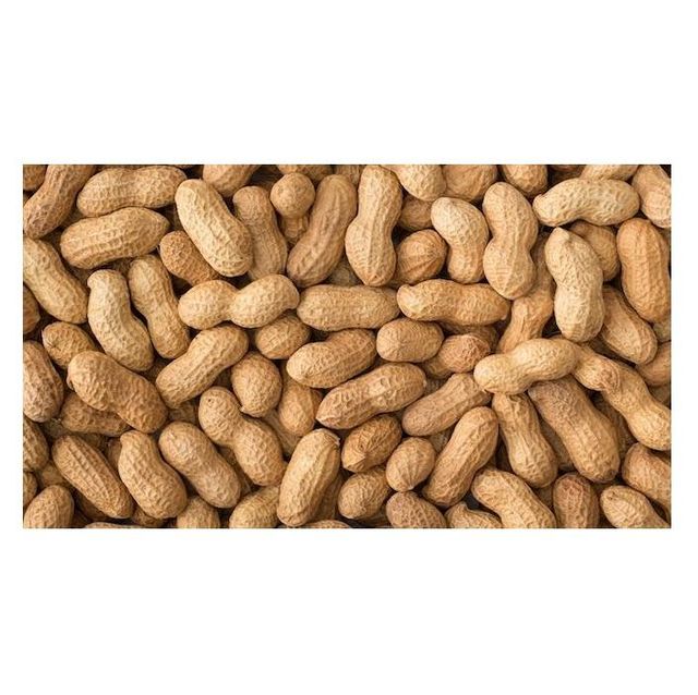 Peanuts in Shelled Crop Plants Raw Dried Wholesale Peanuts - Image 2