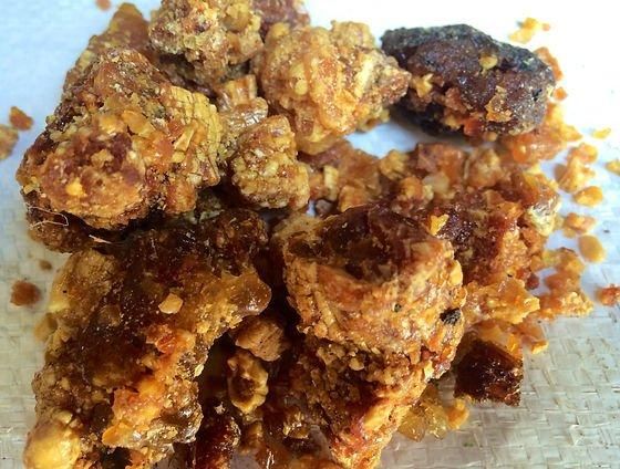 Opoponax resin Grade A Weight (kg) 50kg Color Golden-amber Place of Origin Ethiopia Origin Ethiopia's Ogaden Region Resin Type Opoponax (sweet Myrrh) - Image 3