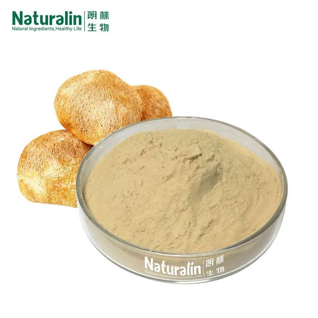 Mushroom Powder Blend - Image 2