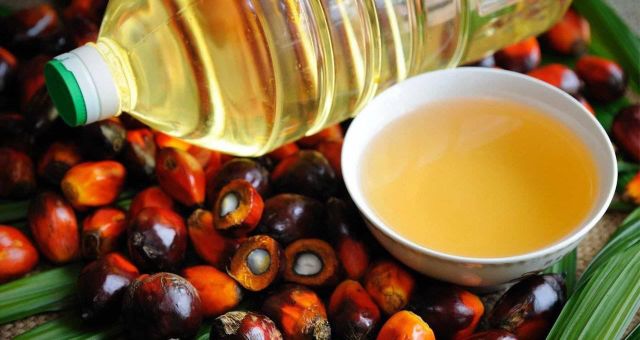 RBD Palm Oil - Refined Bleached Deodorized Palm Olein - Vegetable Cooking Oil - Image 3