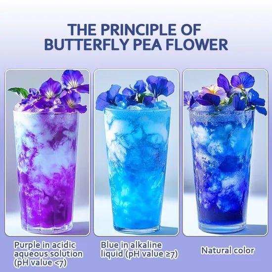 Blue Butterfly Pea Flower Powder Food Grade 98% XAQA 2Y Form Powder State Powder Trademark XAQA Grade Food Grade Color Blue Powder - Image 3