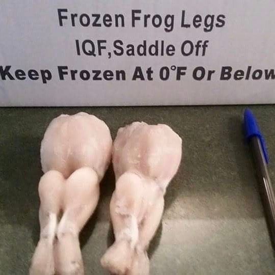 Best sale 90% NW Frozen Skinless Bull frog legs meat competitive price for wholesale from Vietnam - Image 5