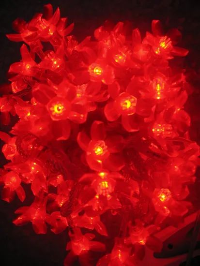 2018 Hot Sale LED String Light for Christmas Decoration - Image 2