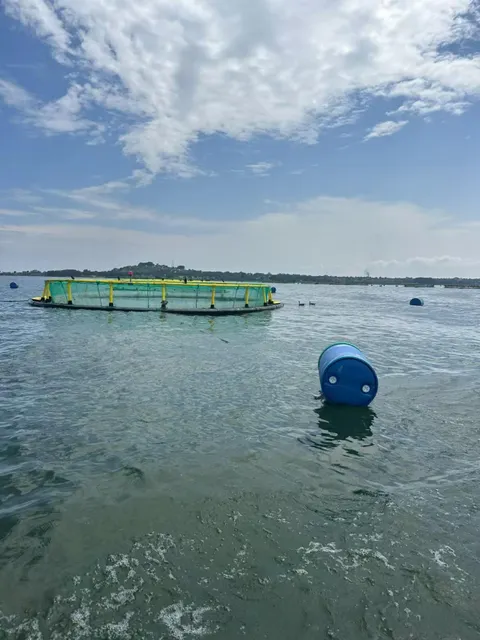 floating fsih cage - Image 1