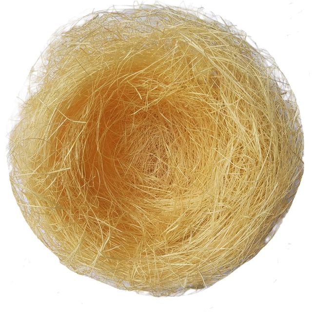 Clean Processed Sisal Fiber High Strength Fiber For Industrial And Agricultural Packaging - Image 4
