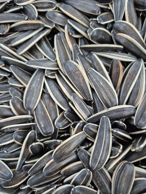 Sunflower Seed Features Fair Trade, No Artificial Flavors, No Preservatives, Organic - Image 1