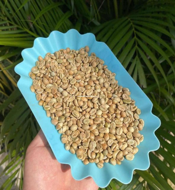 VIETNAM GREEN COFEE BEANS ROBUSTA & ARABICA EXORT QUALITY Organic No, Yes Decaffeinated No Degree of Processing Raw Bean Type Arabica, Robusta - Image 4