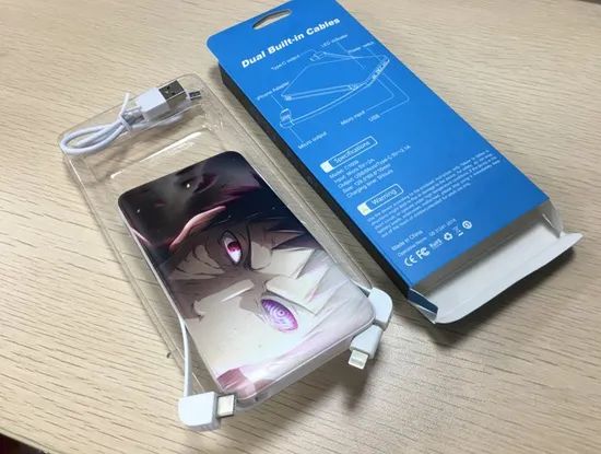 Power Bank 10000mAh Micro Input Micro+Type-C In Built Cables Outputs and USB Output - Image 2
