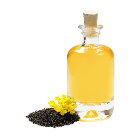 High quality refined rapeseed oil available for bulk supply at factory price – product photo 3, product detail gallery