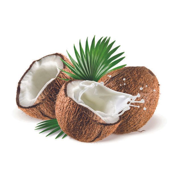 High Quality Fresh Dehusked Coconuts / fresh coconuts(larger size) - Image 3