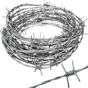 Hsj High Quality Roll Barbed Wire Razor Barbed Galvanized Wire for Farm Fence - Image 6