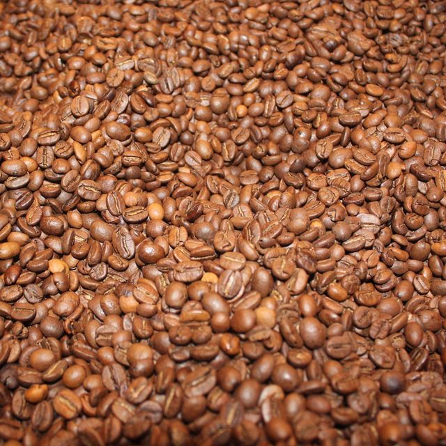 Robusta Coffee Bean Export Quality Fresh Robusta Coffee Bean With Unique Rich Aroma And Natural Flavor Profiles For Traders - Image 5